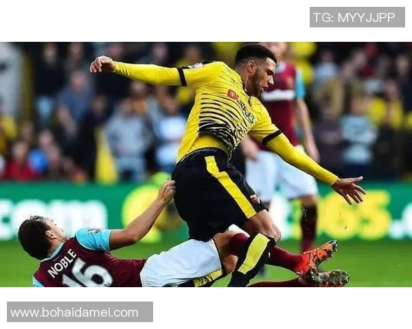 诺维奇与加的夫城精彩对决直播全程回顾与分析